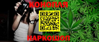 крисы Апшеронск