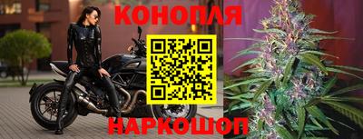 крисы Апшеронск