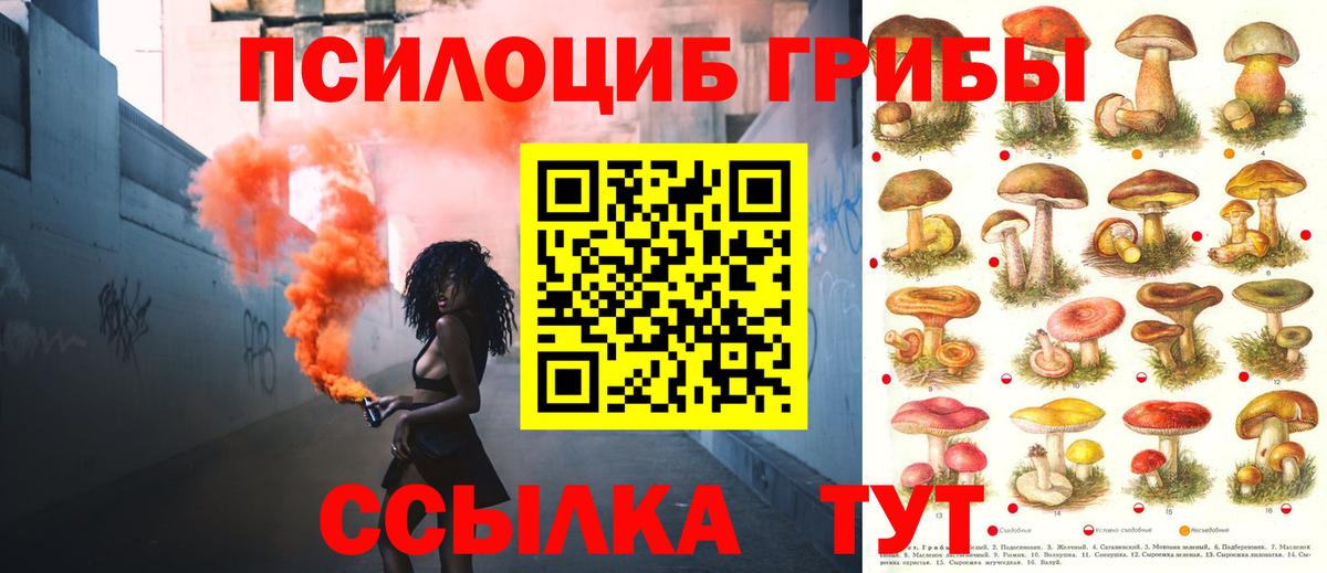 Галлюциногенные грибы MAGIC MUSHROOMS  Вход с VPN  Вичуга 